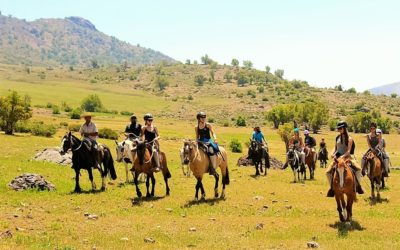 Horse Riding – Full Day